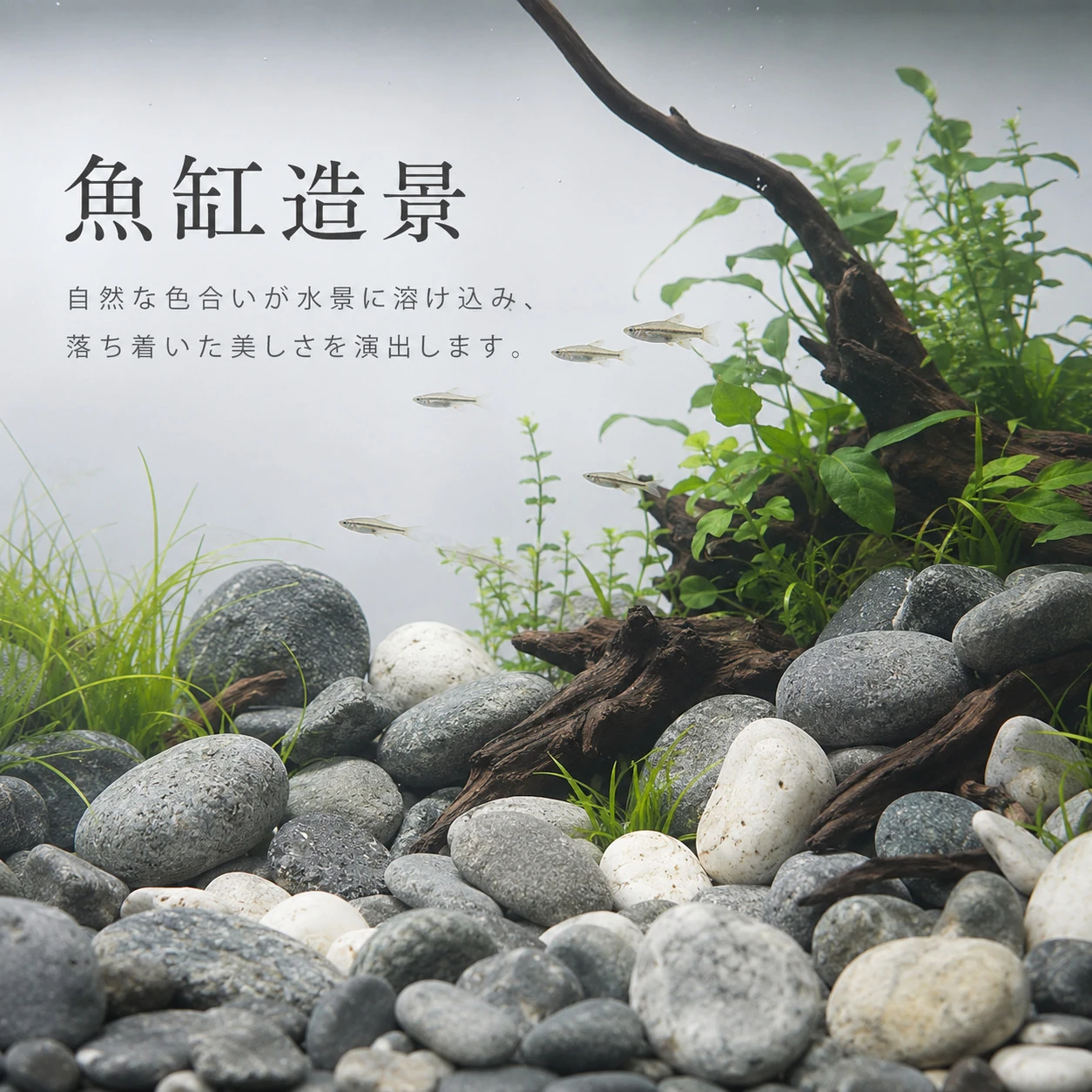 多彩海石-1KG