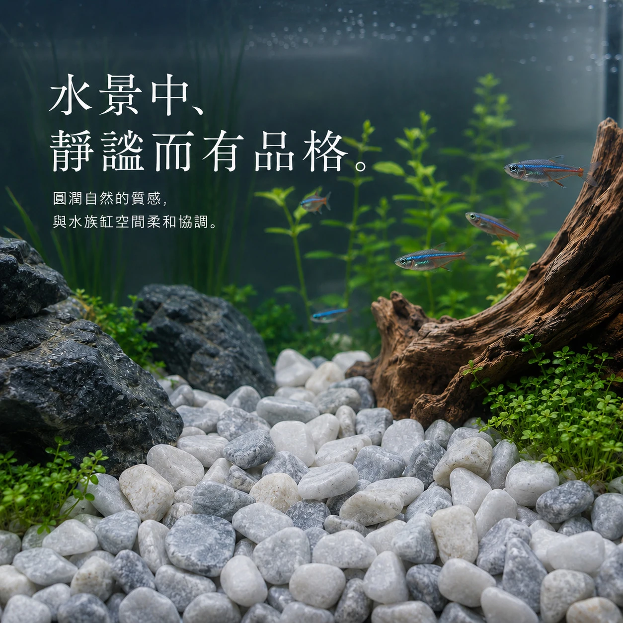 珍珠白灰石-1KG