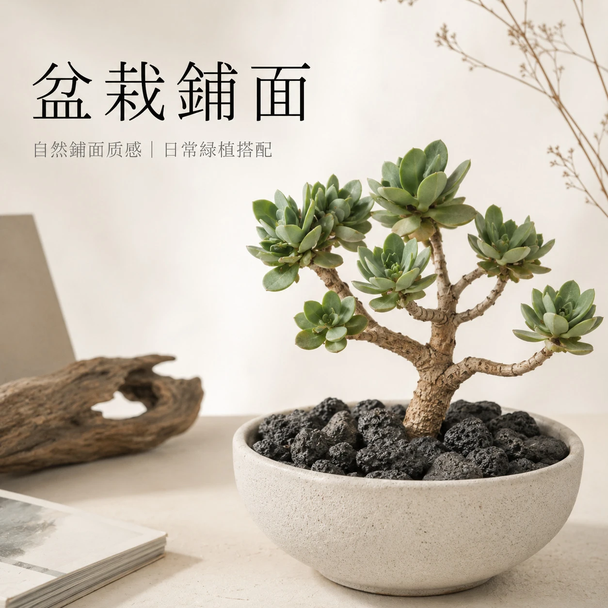 黑火山石-1KG