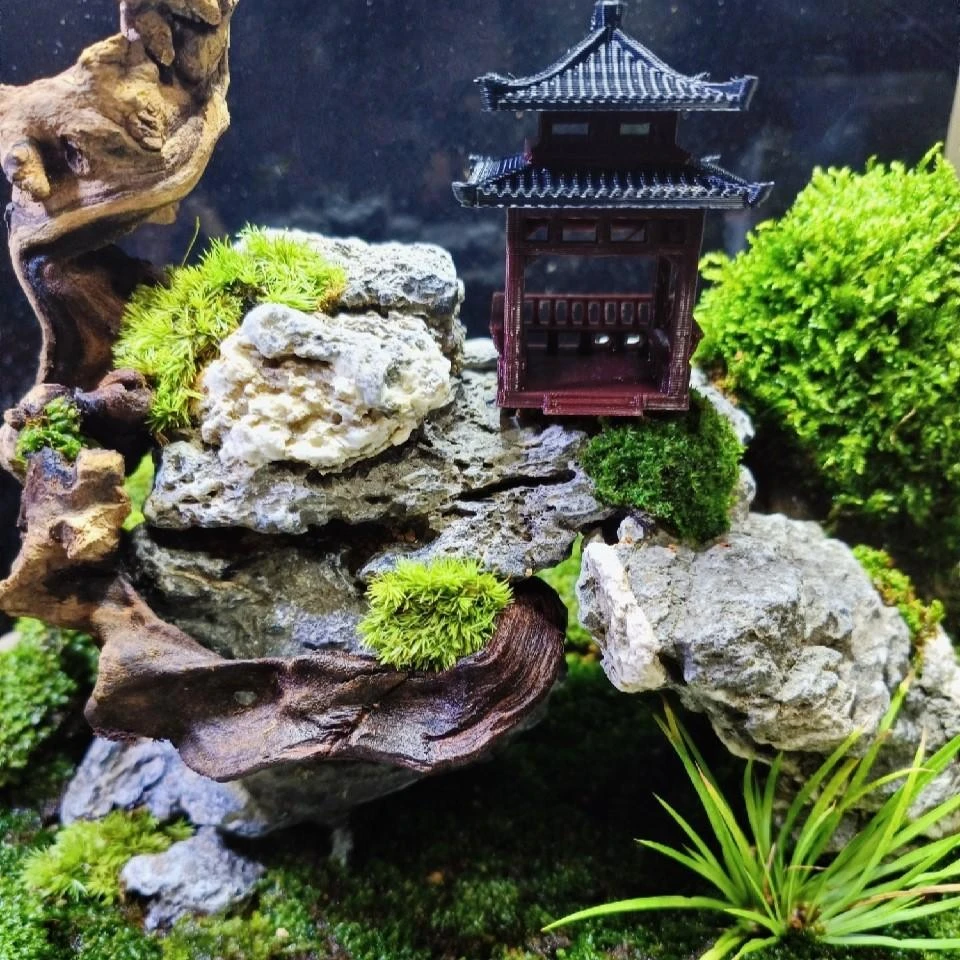 青龍石/黑奇石