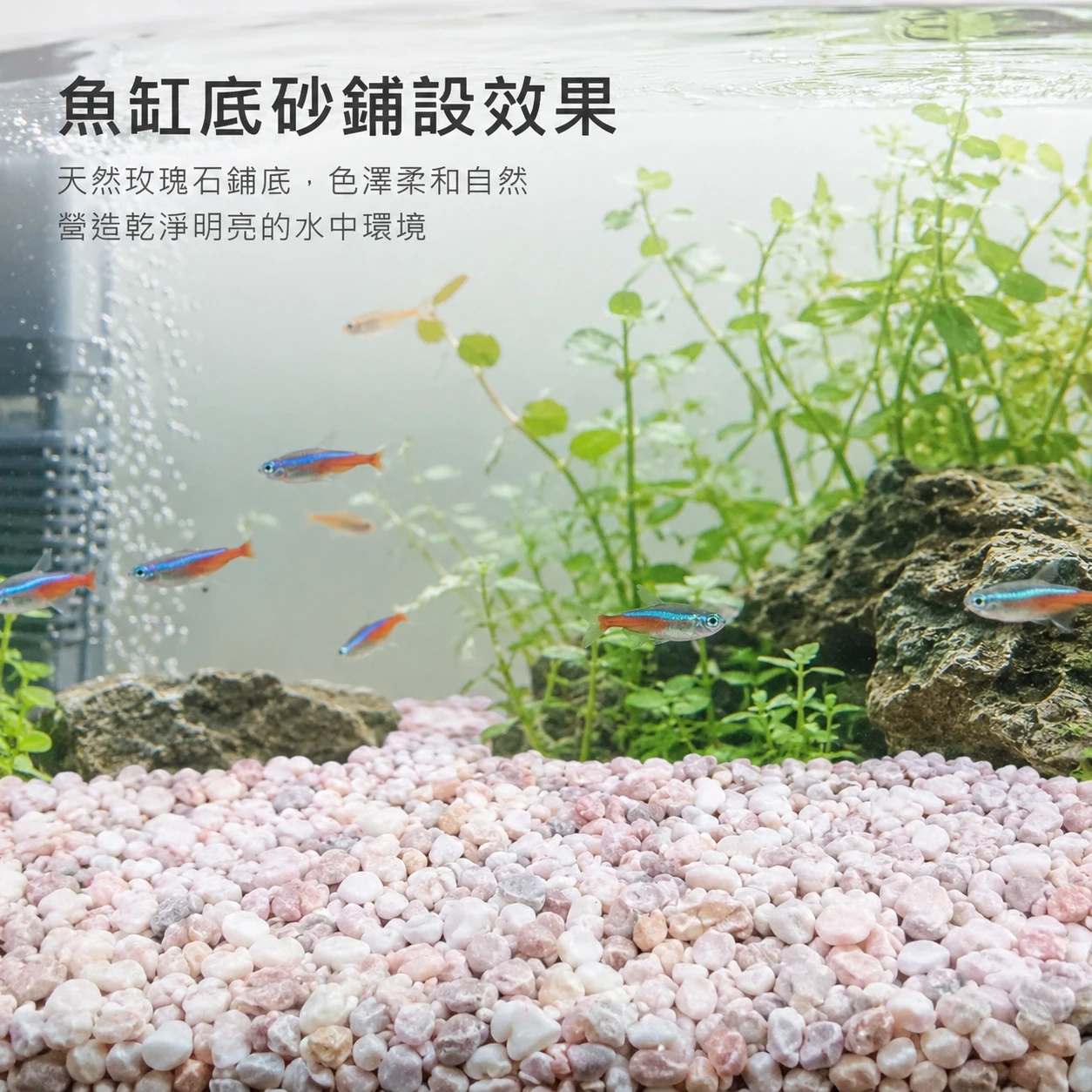 玫瑰石-1KG