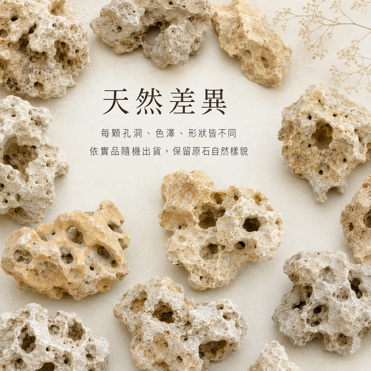 咕咾石-20KG