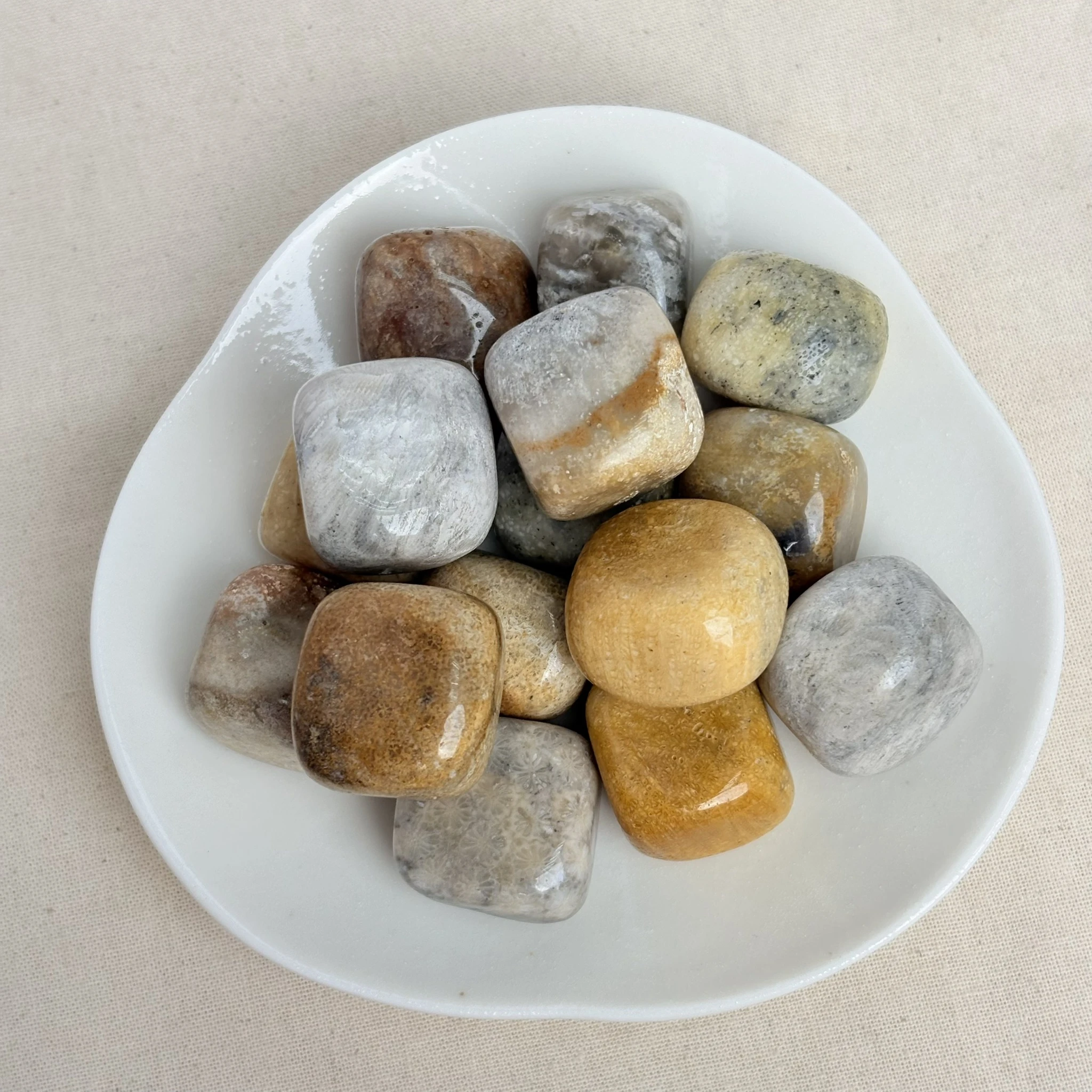 珊瑚玉滾石
