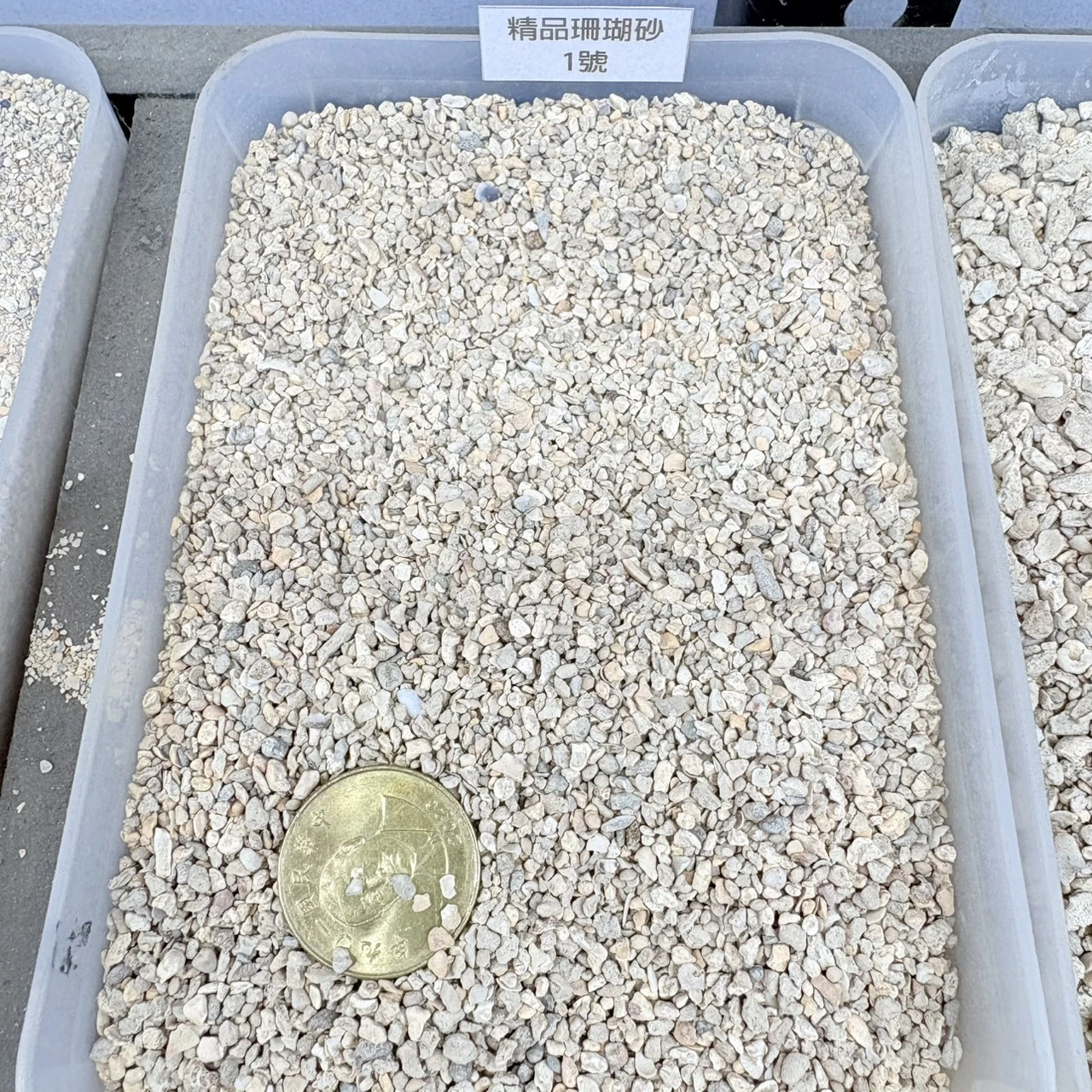 精品珊瑚砂-1KG