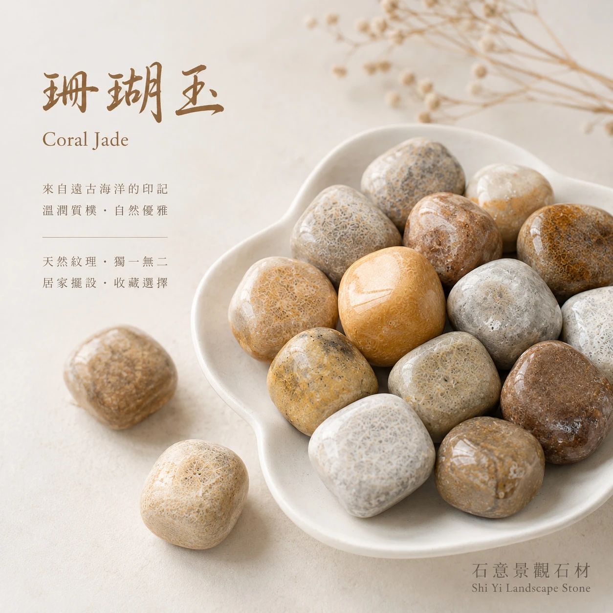 珊瑚玉滾石