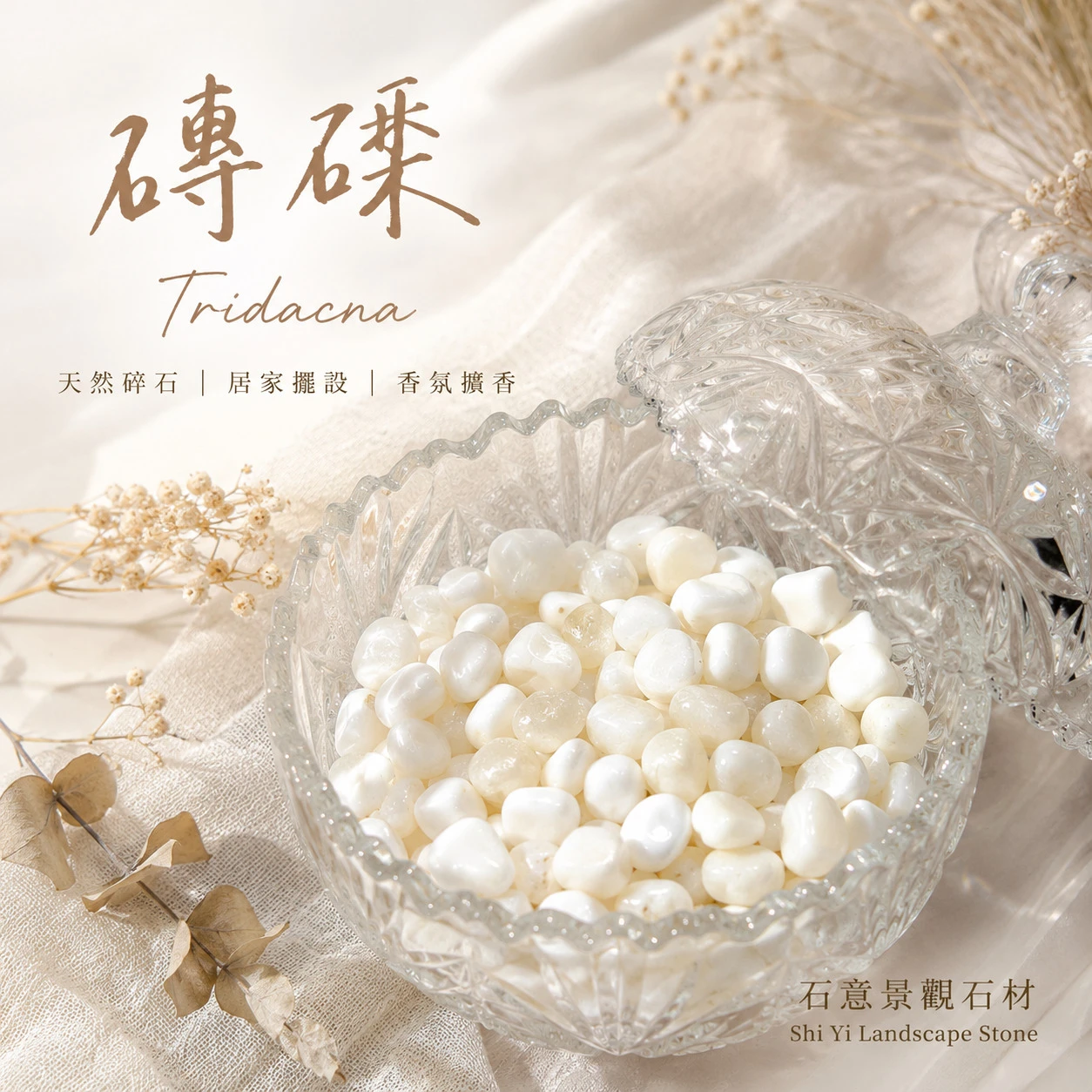 硨磲