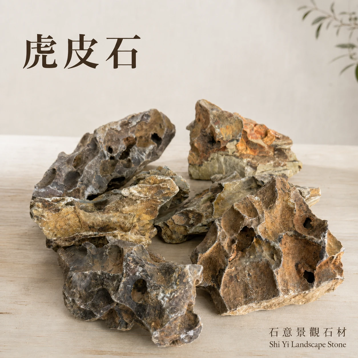 虎皮石-1KG