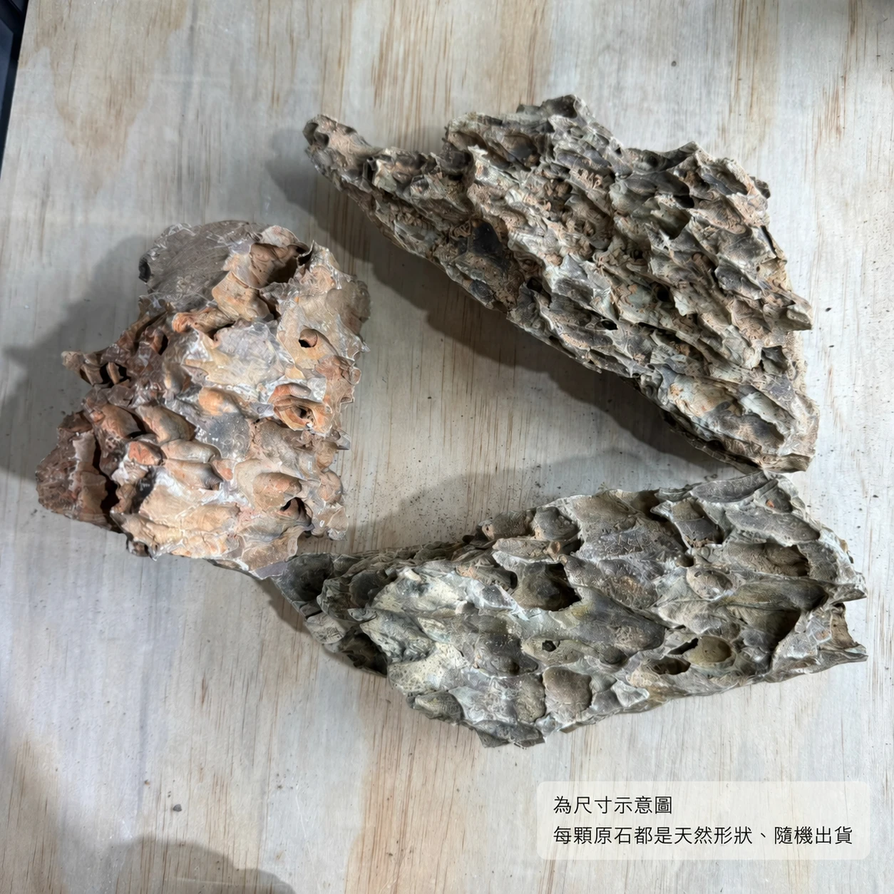 虎皮石-1KG