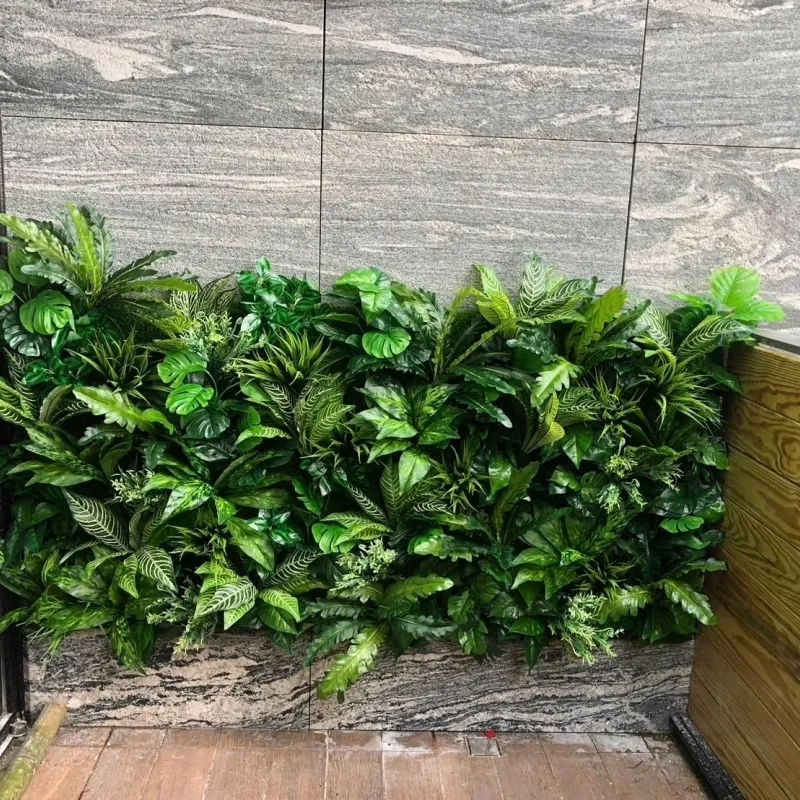 綠牆適合的植物有哪些呢？