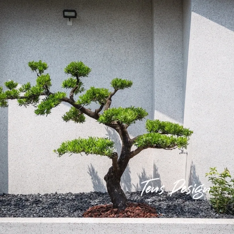 日式造型羅漢松｜圓球七里香｜桂花｜花台規劃造景