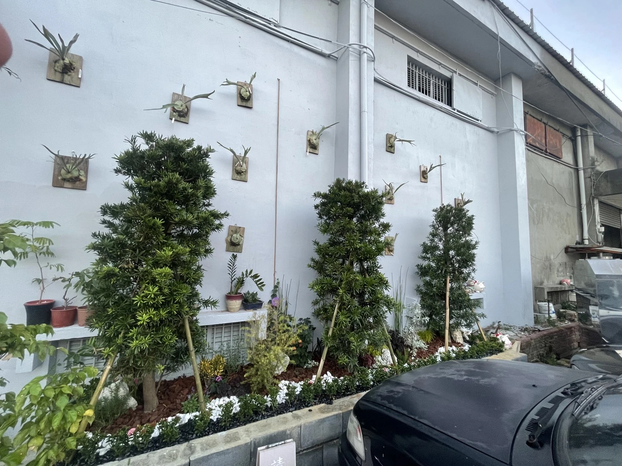 綠化牆設計