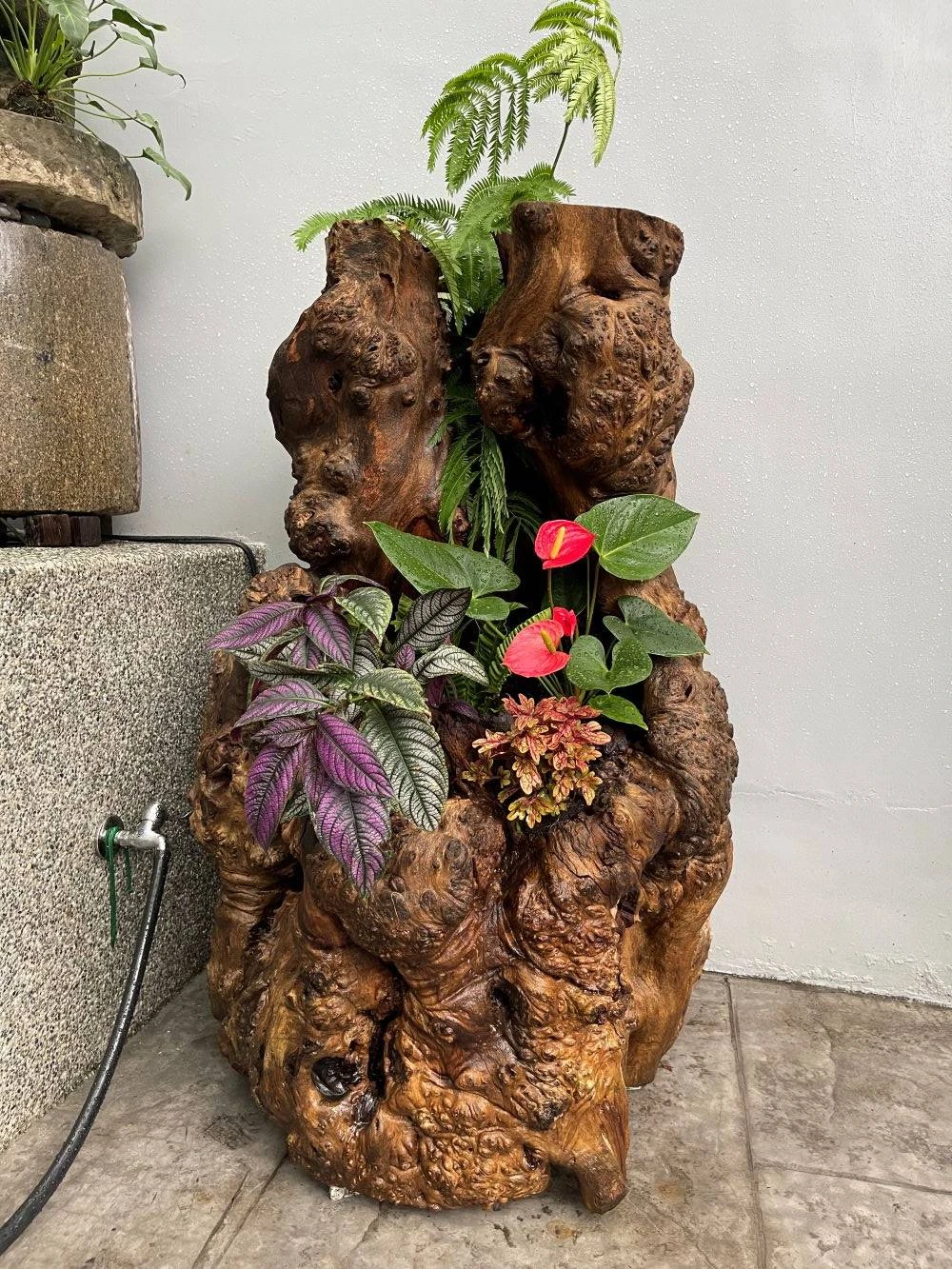 綠色植栽設計