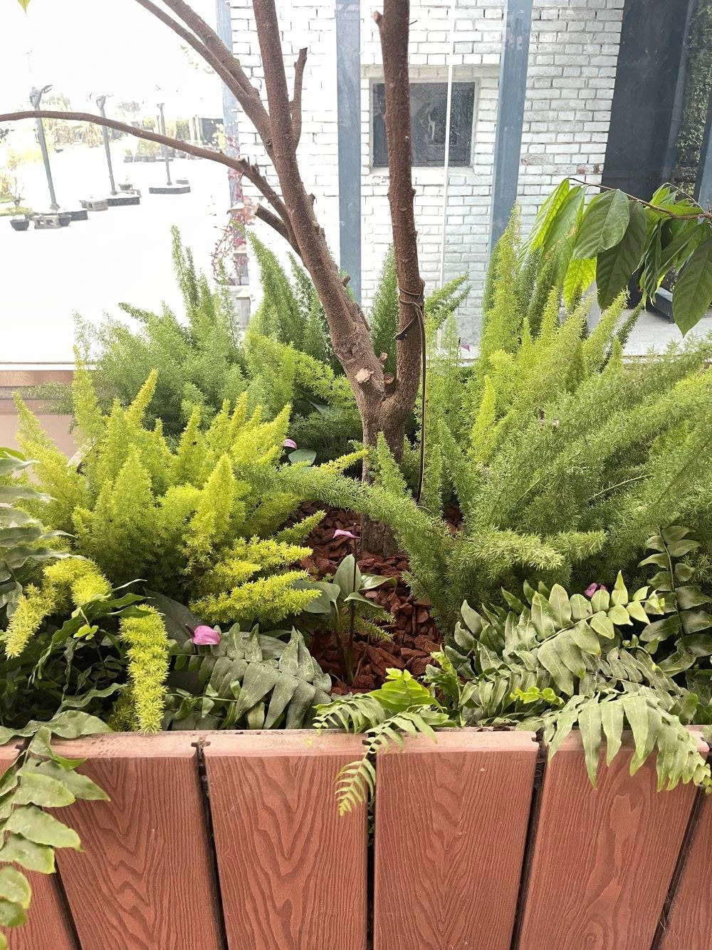 綠色植栽設計