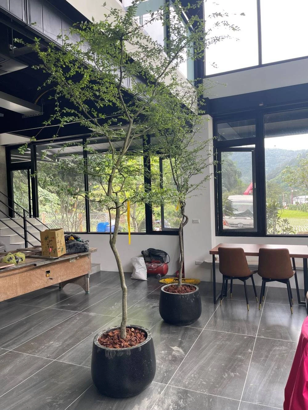 綠色植栽設計