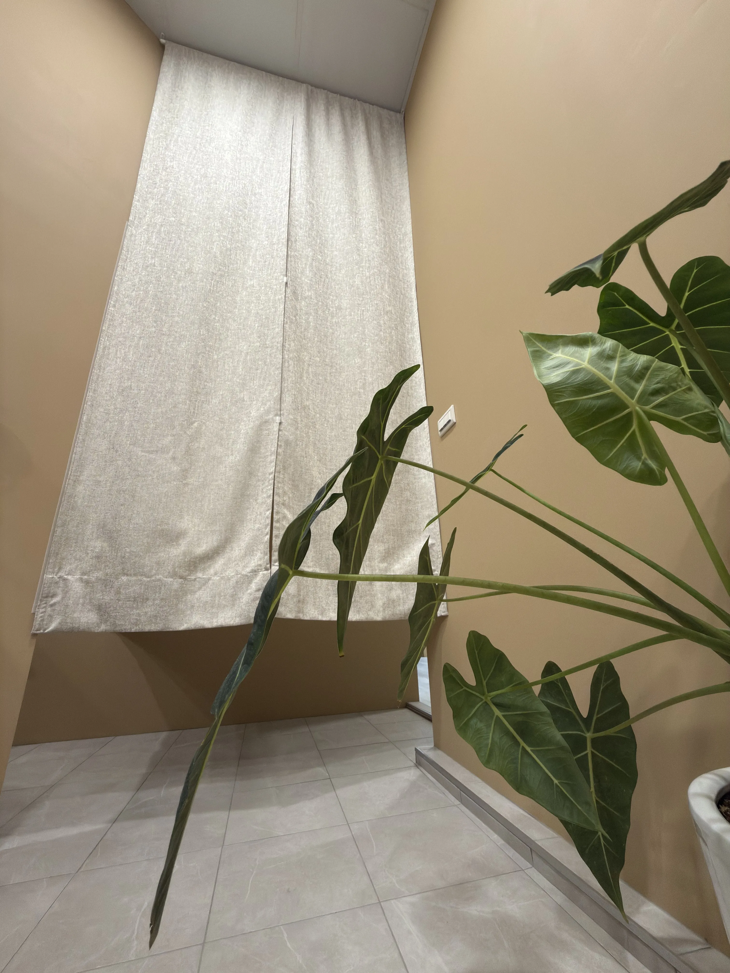 門簾/片簾/隔間