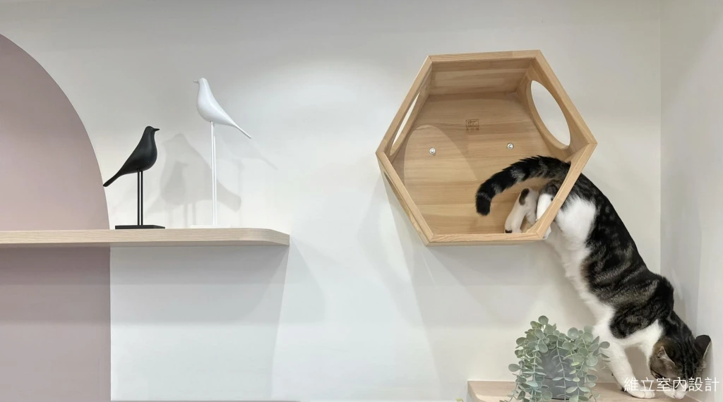 貓奴必看宅｜系統櫃藏砂盆功能兼具