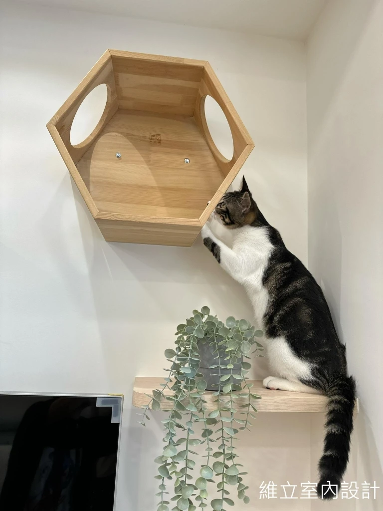 貓奴必看宅｜系統櫃藏砂盆功能兼具