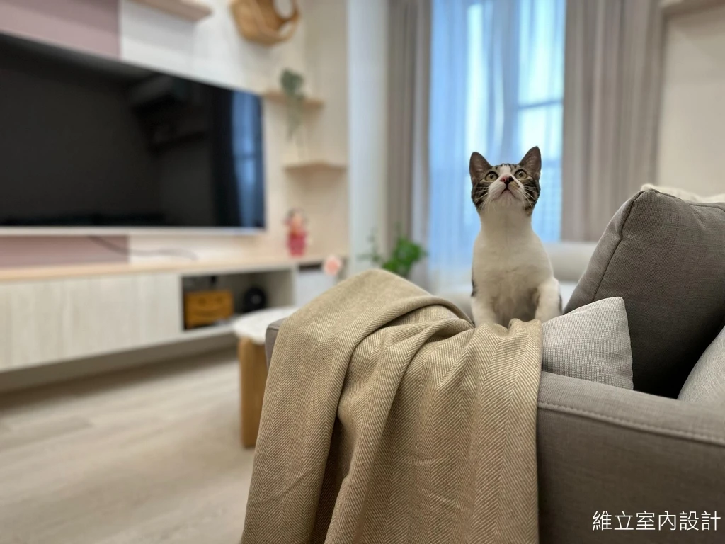 貓奴必看宅｜系統櫃藏砂盆功能兼具