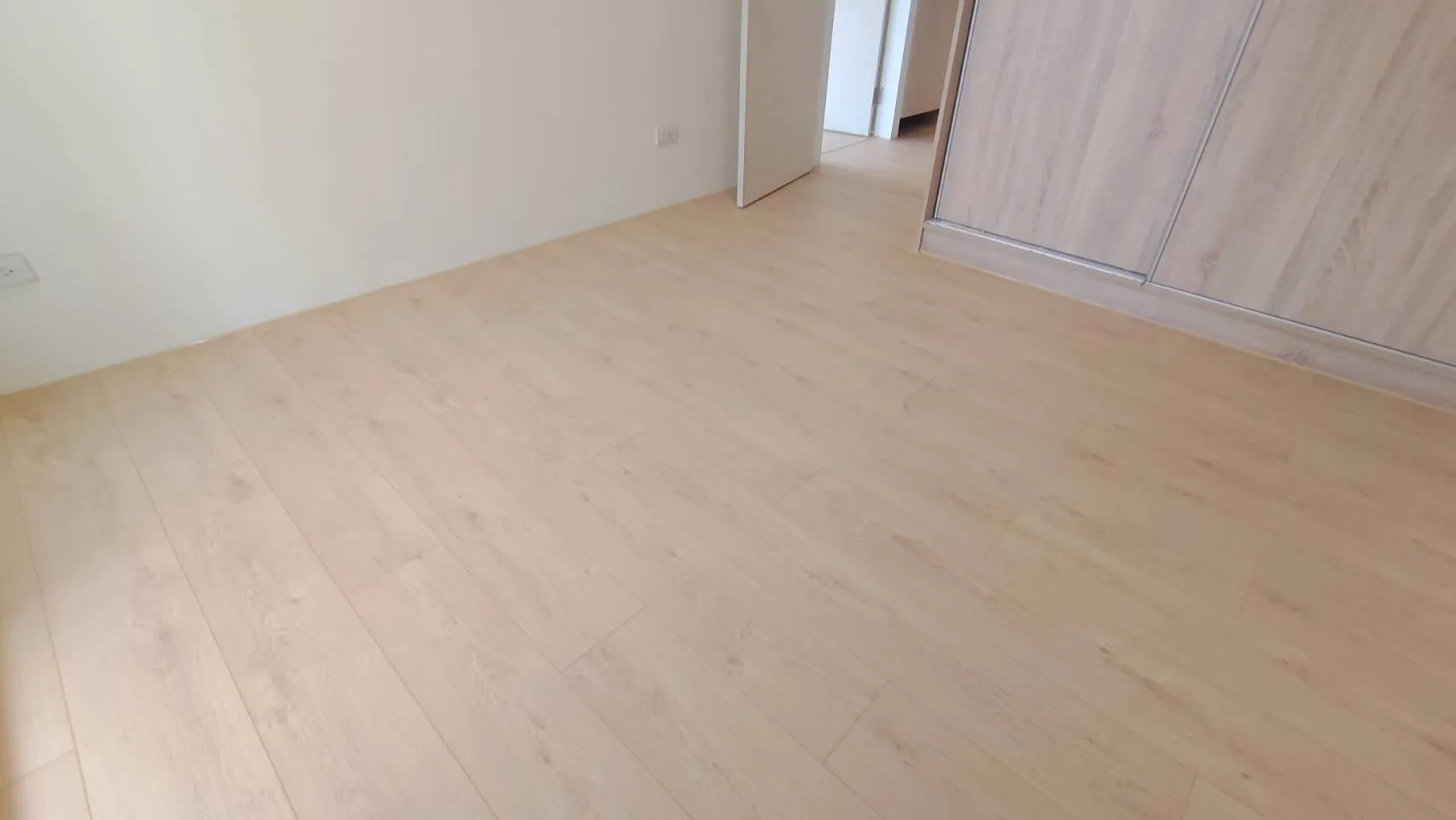 553 春日橡木