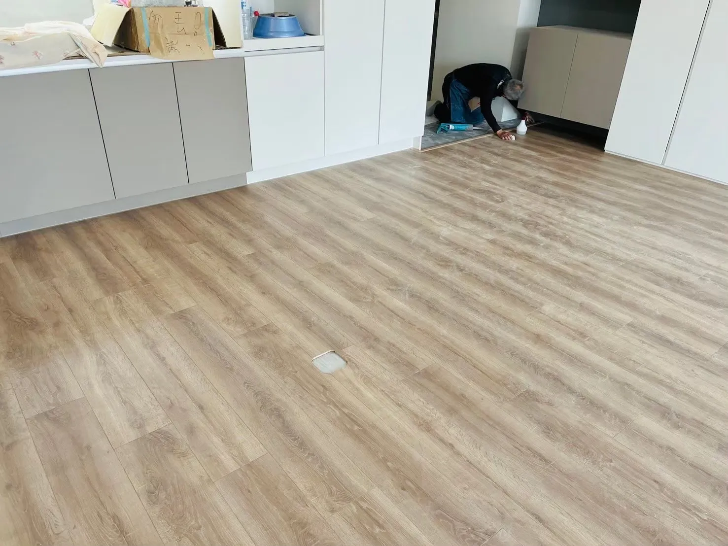 223 班迪橡木