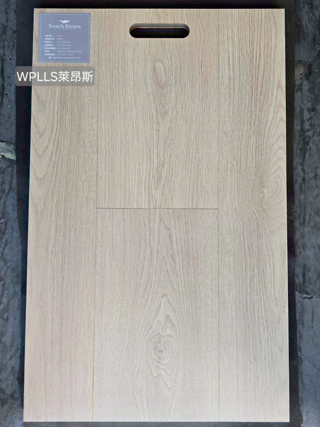 WPLLS 萊昂斯