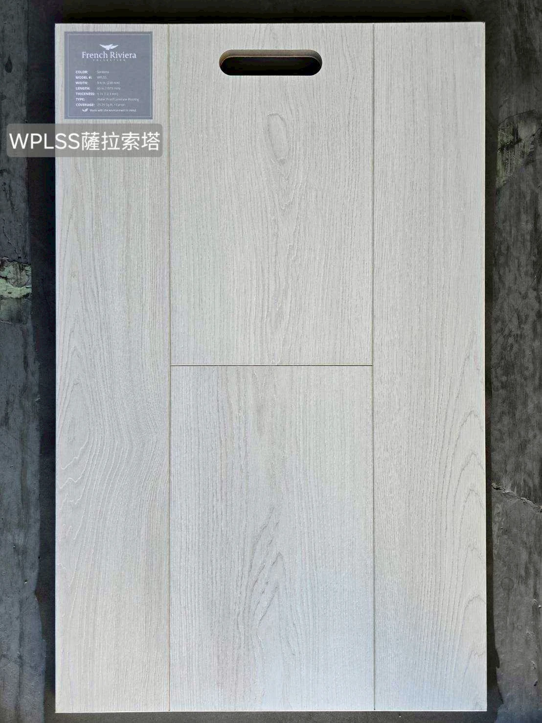 WPLSS 薩拉索塔