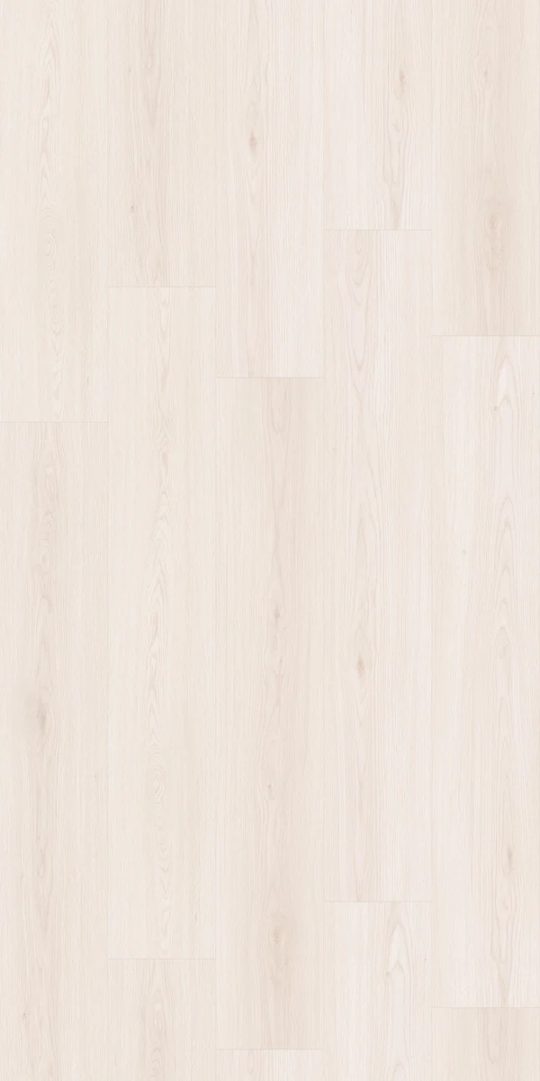 A1501 慕尼白