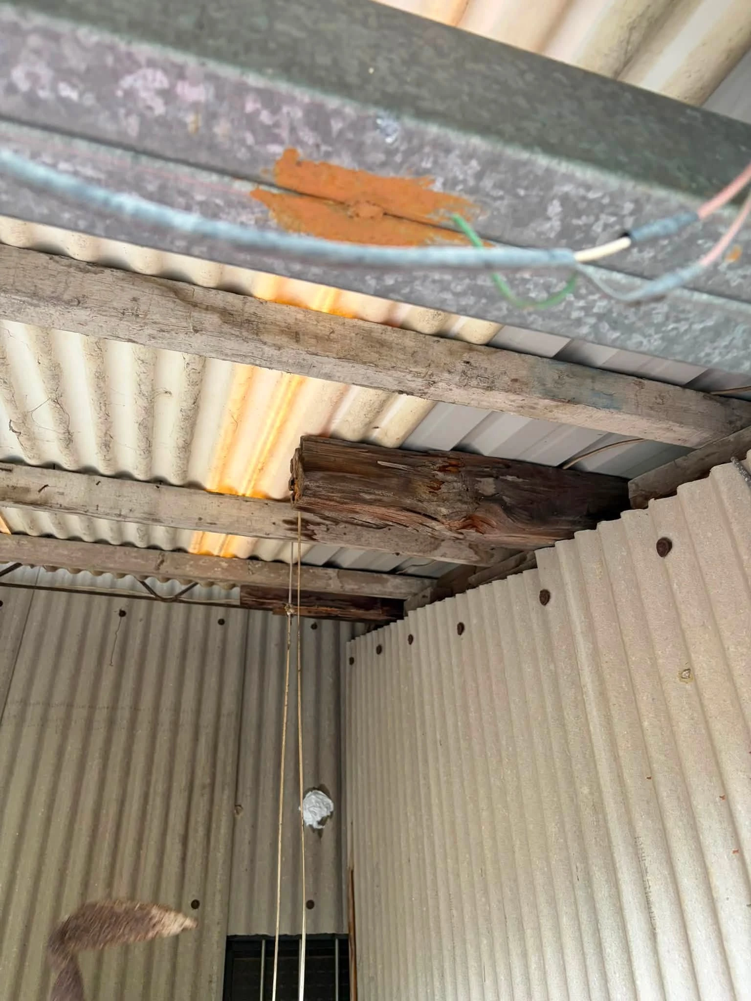 竹崎案場 老舊屋頂行架浪板拆除 牆體打除 門框 窗框拆除