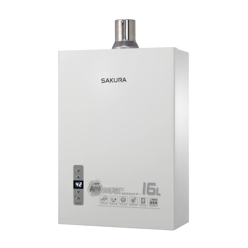 16L 四季溫智能恆溫熱水器 DH1631F