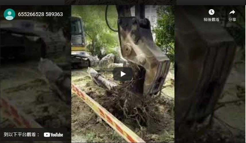 山上鐵皮屋拆除整理平地-台南廠房拆除/高雄廠房拆除
