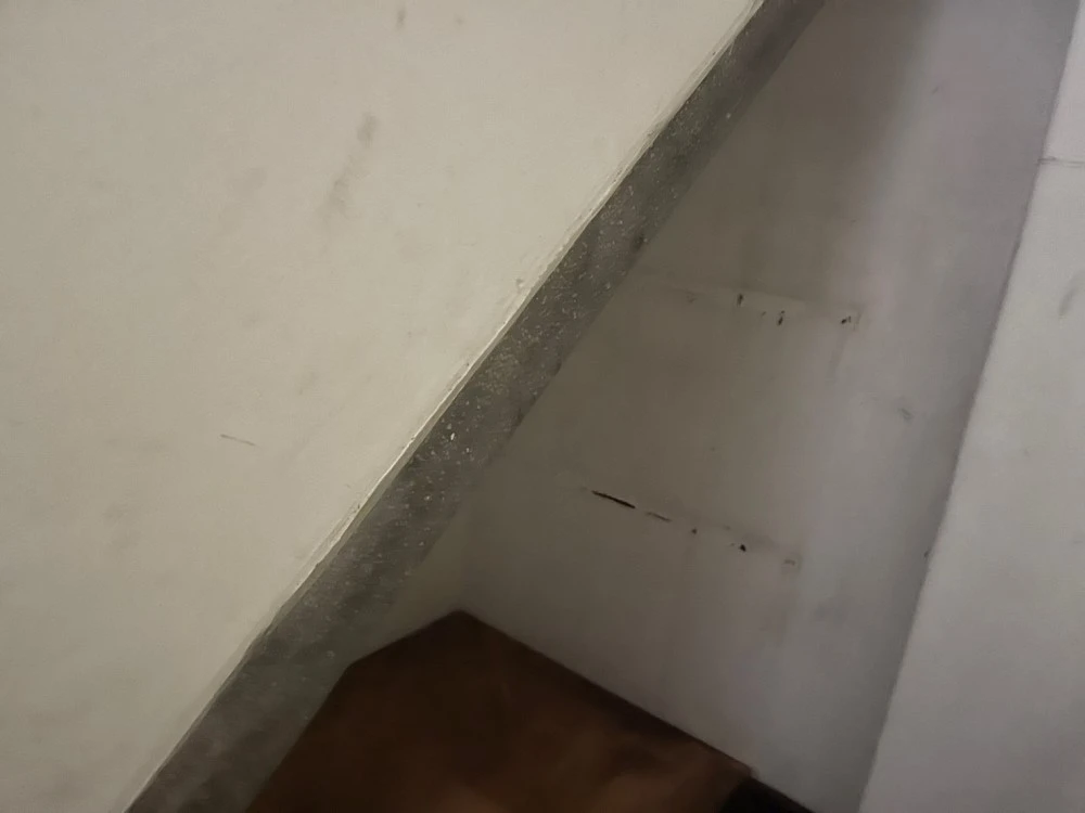 學校校室局部木作裝潢拆除