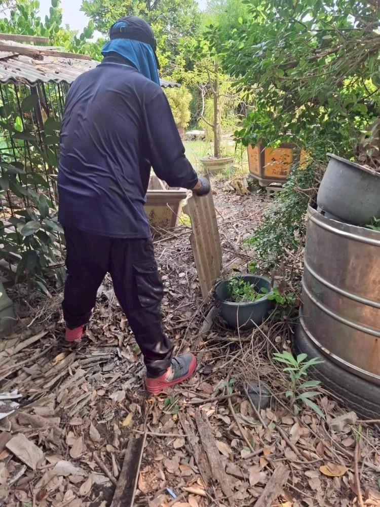 鐵皮拆含內部裝潢拆除夷為平地施工前中後