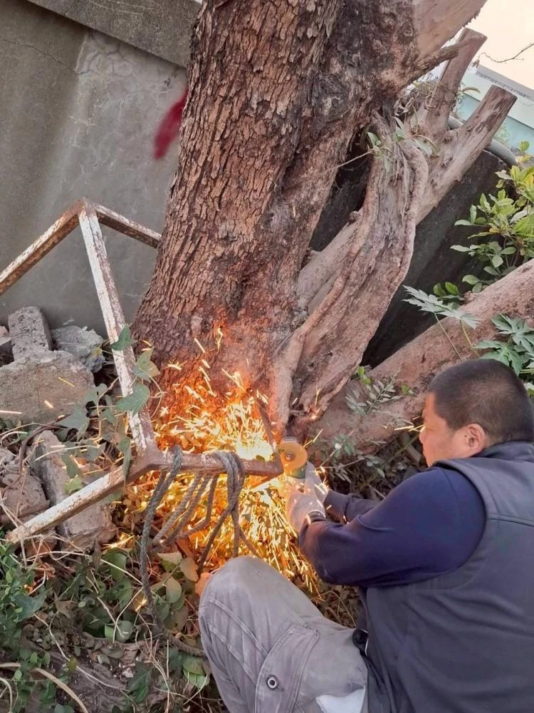 鐵皮屋拆除夷為平地