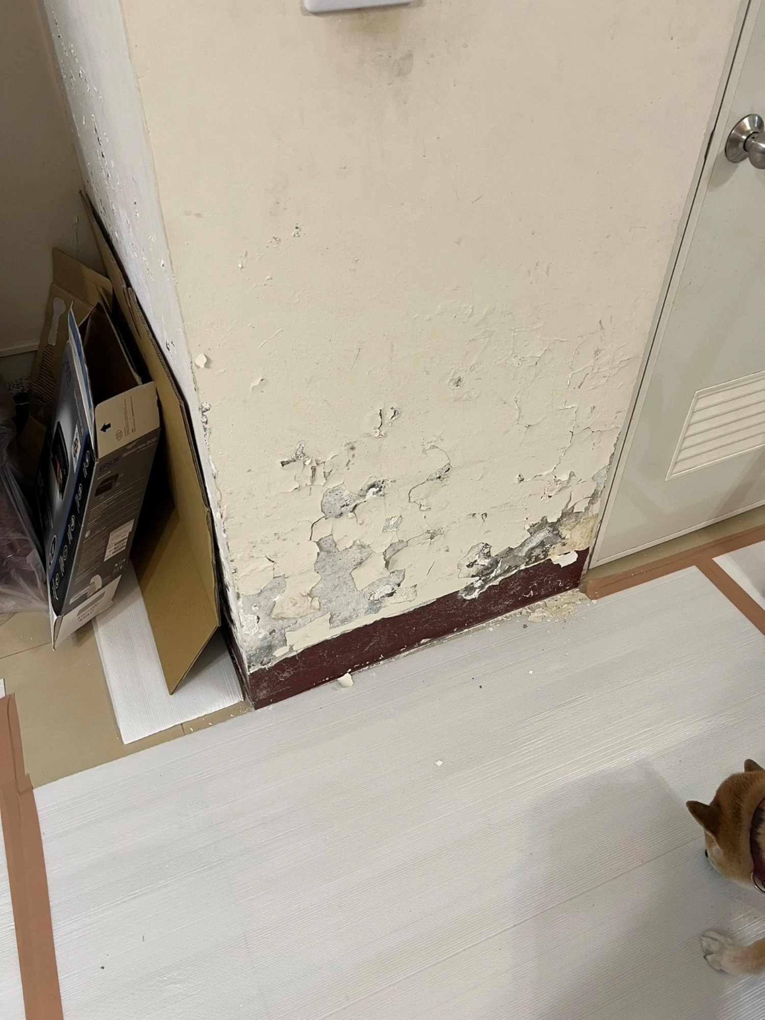 透天住宅局部裝潢拆除、局部牆面.廁所打除施工前、中、後