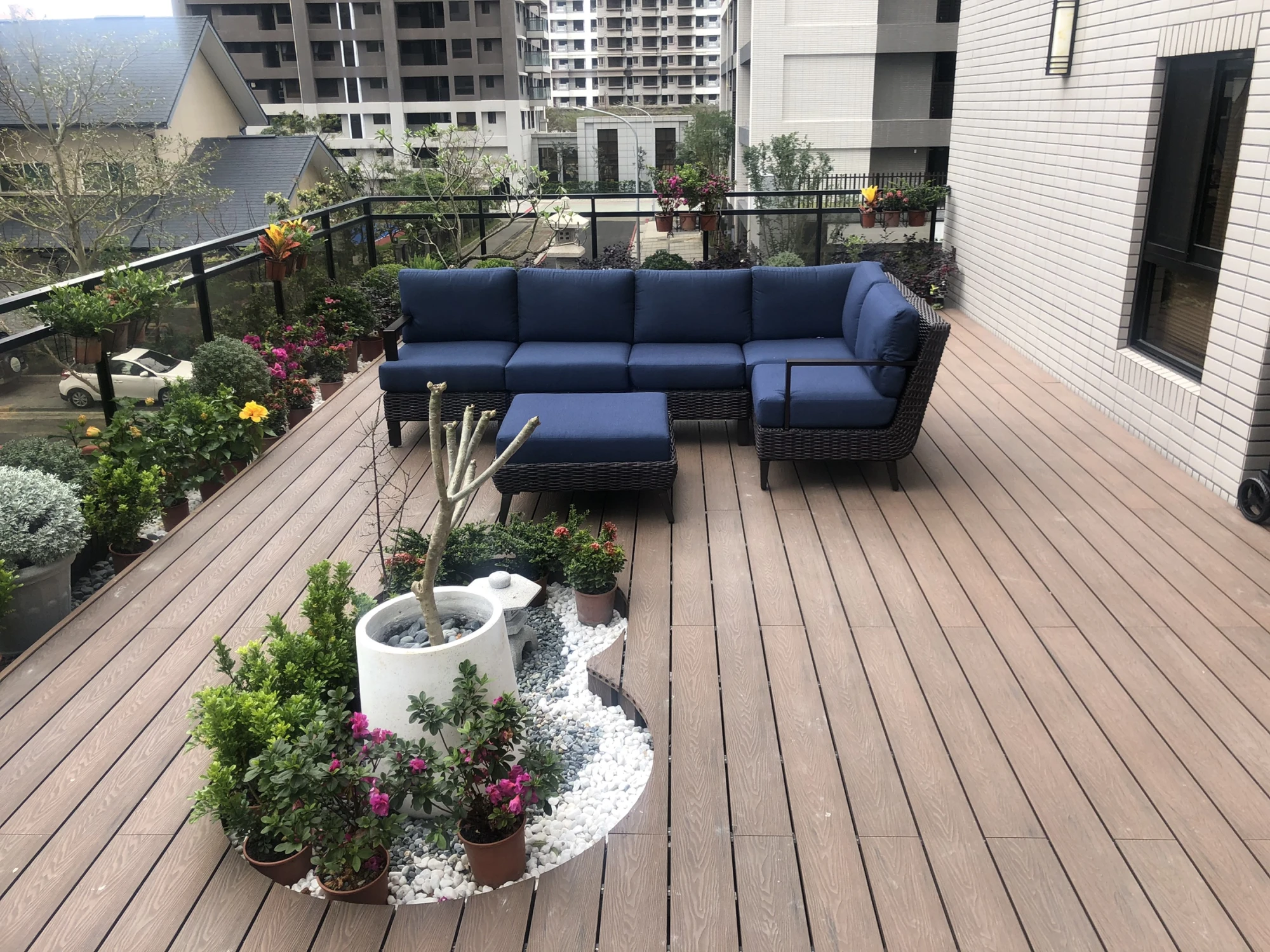 微曦中的溫潤木境